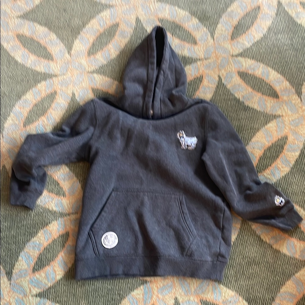 GOAT Kids Gray Hoodie